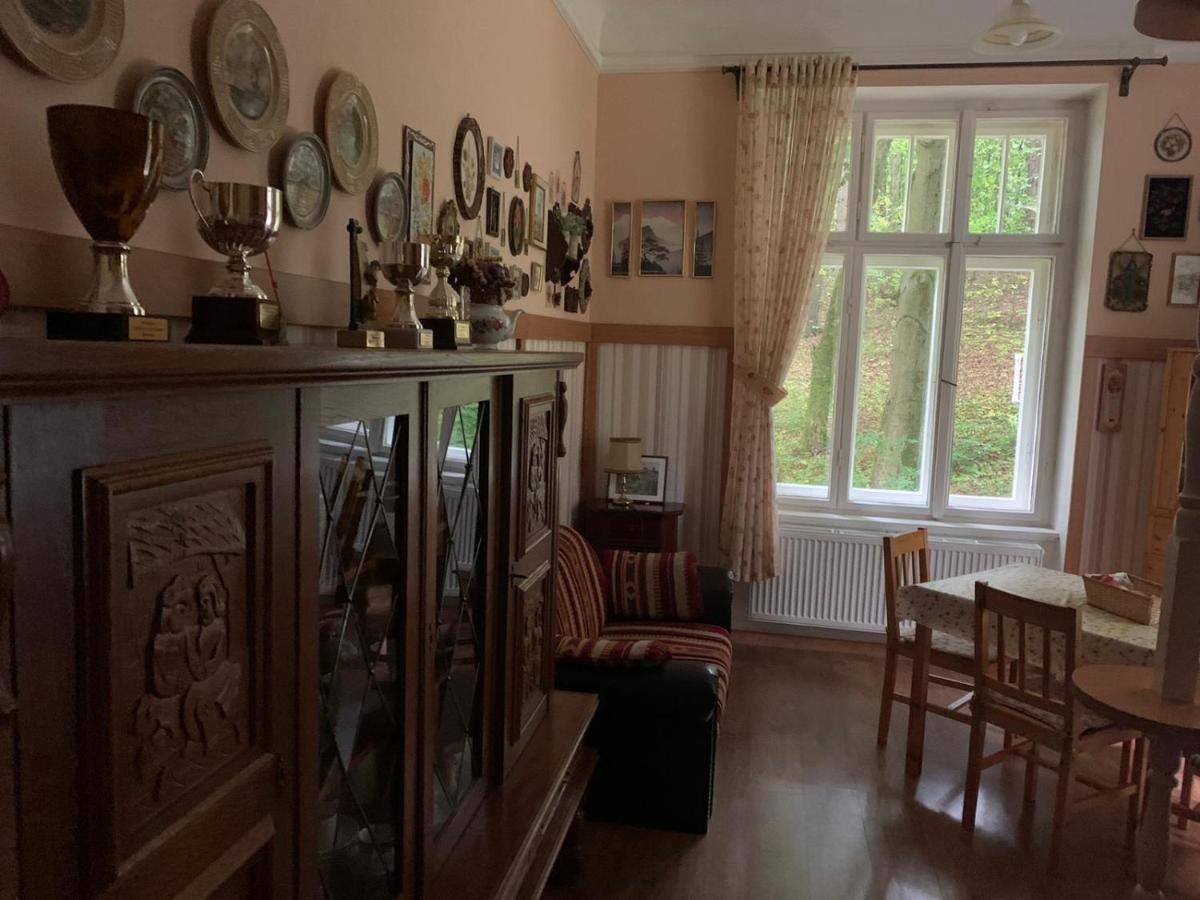 Dream Appartment For A Nice Holiday With A Bedroom And Living Room! Mariánské Lázně Exteriér fotografie